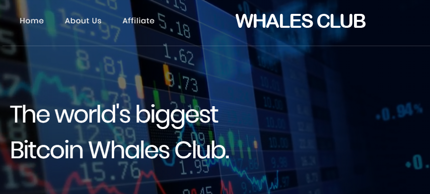 Whales Club Projesi Nedir, Kazanç Planı Nasıldır?