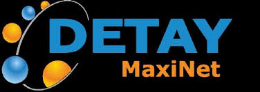 Detaymaxinet Kapatılıyor mu?